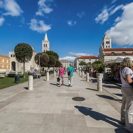 Rade Luxury * ザダル